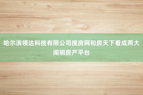 哈尔滨领达科技有限公司搜房网和房天下看成两大闻明房产平台