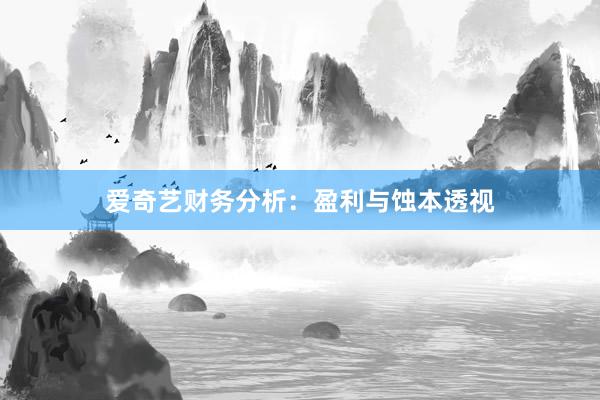爱奇艺财务分析：盈利与蚀本透视